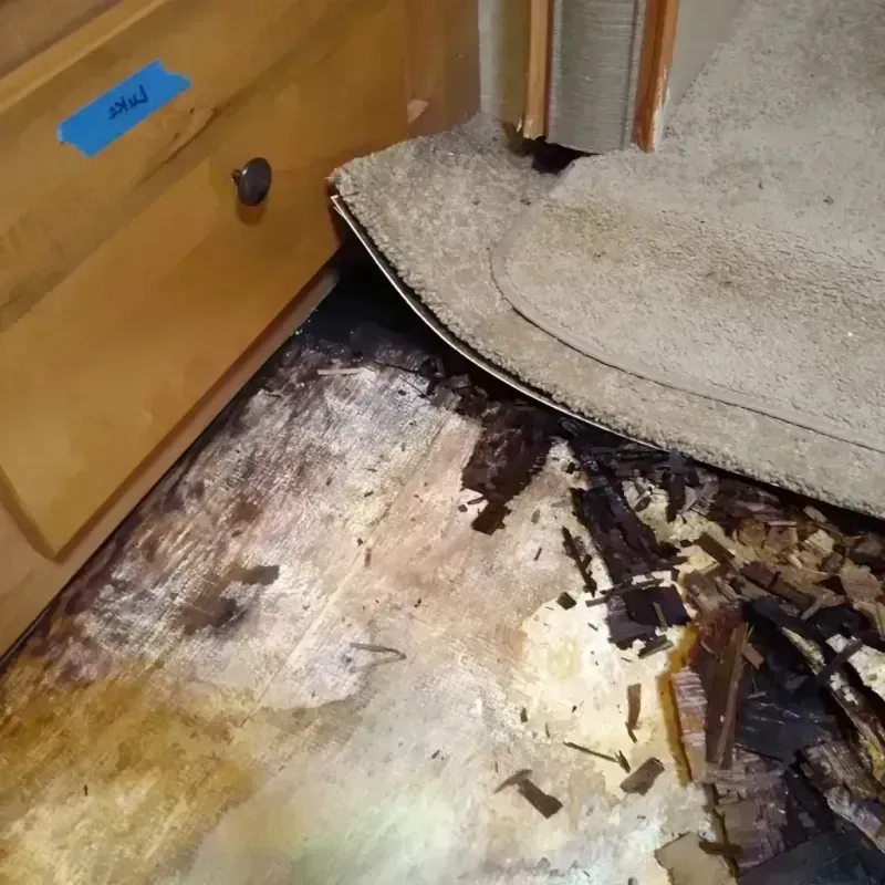 Wood Floor Water Damage in Boston, NY